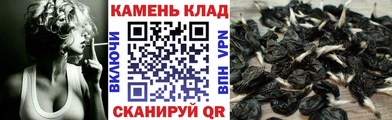 дарк нет клад  Дмитриев  ГАШИШ Изолятор 