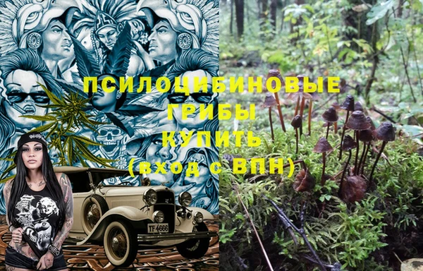 спиды Вязьма