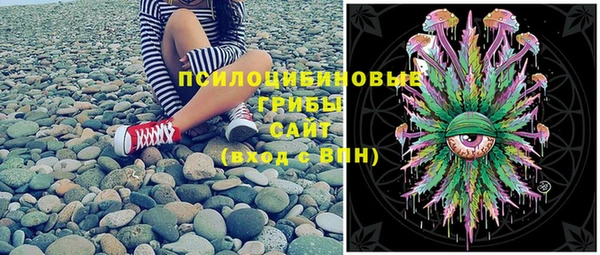 спиды Вязьма