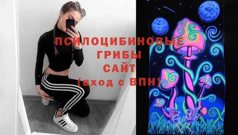 наркота  Дмитриев  omg ссылки  Псилоцибиновые грибы Magic Shrooms 