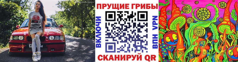 Псилоцибиновые грибы MAGIC MUSHROOMS  наркотики  Дмитриев 