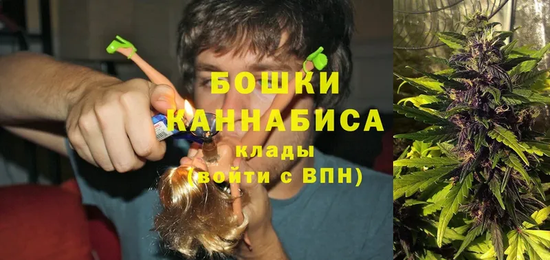 Каннабис SATIVA & INDICA  даркнет сайт  Дмитриев 